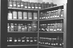 1941-Pantry-Storage-for-Canned-Food-3