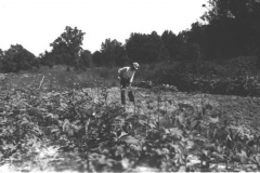 WPA-Cooperative-Gardening-Canning-Project-1