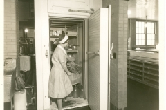 Woman-in-Refrigerator