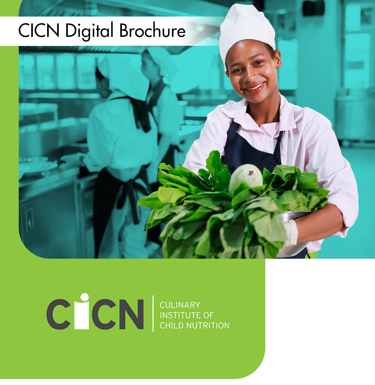 CICN brochure