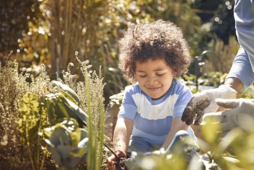 Little Boy Gardening Outdoors