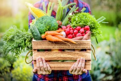 Farmer woman holding wooden box full of fresh raw vegetables. Basket with vegetable (cabbage, carrots, cucumbers, radish, corn, garlic and peppers) in the hands.