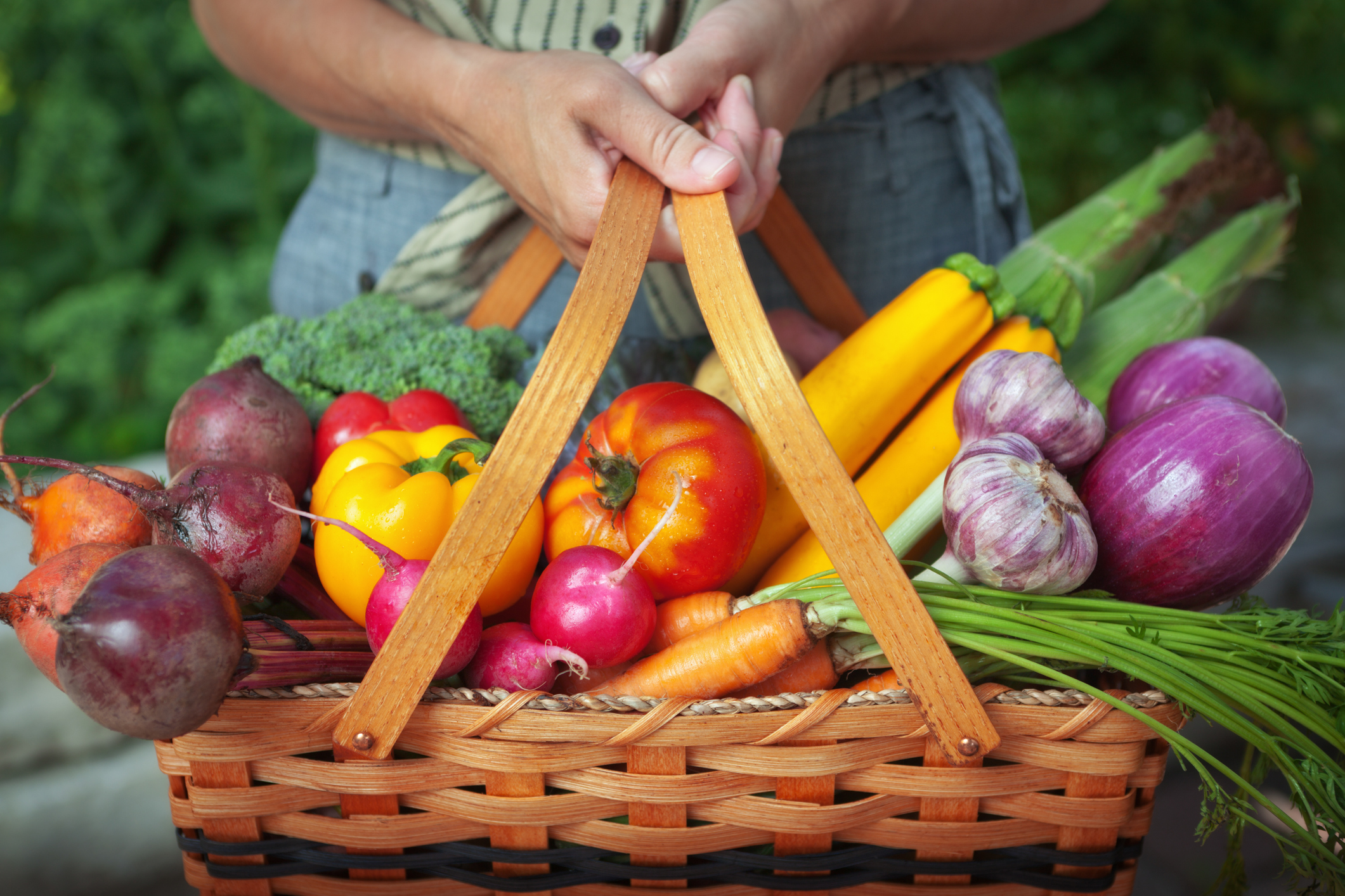 Vegetable Garden Basket Of Fresh Food Harvest From Organic Gardening